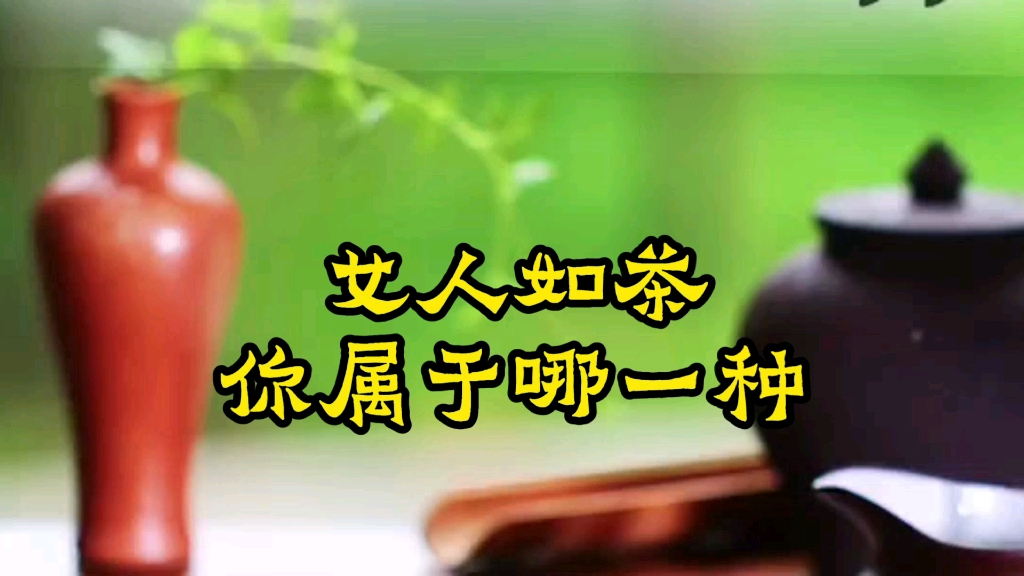 女人如茶,你属于哪一种?