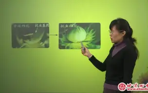 Download Video: 【高中生物】基因工程