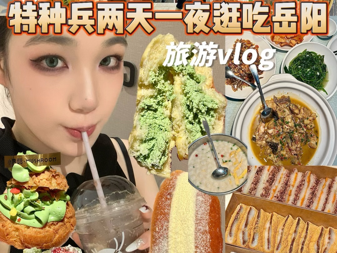 岳阳vlog 特种兵两天一夜逛吃岳阳美食哔哩哔哩bilibili