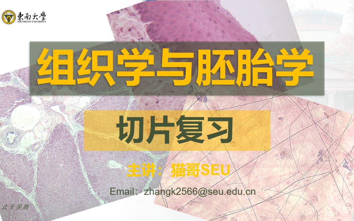 [图]【组织学与胚胎学实验】组织学全套切片识别与特点辨析总复习（组胚实验考试总复习）