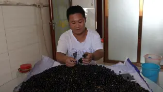 长廊上的野葡萄成熟了 哔哩哔哩 Bilibili