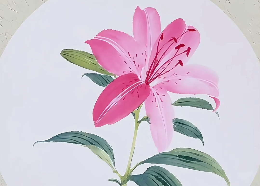 国画小写意:百合花