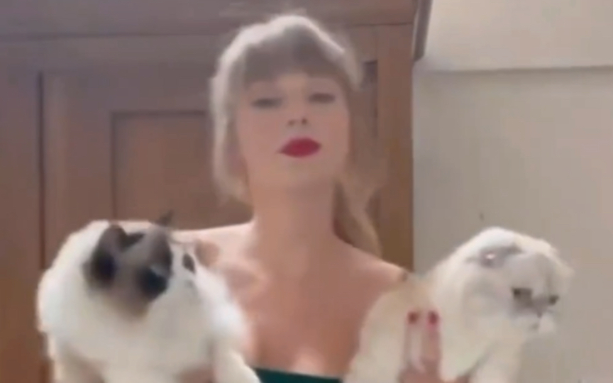 【Taylor Swift】霉霉跟猫咪是双向奔赴吧哔哩哔哩bilibili