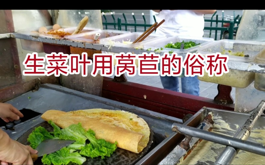 很多小吃都夹生菜,煎饼,灌饼,手抓饼,为啥生菜可以生吃?哔哩哔哩bilibili