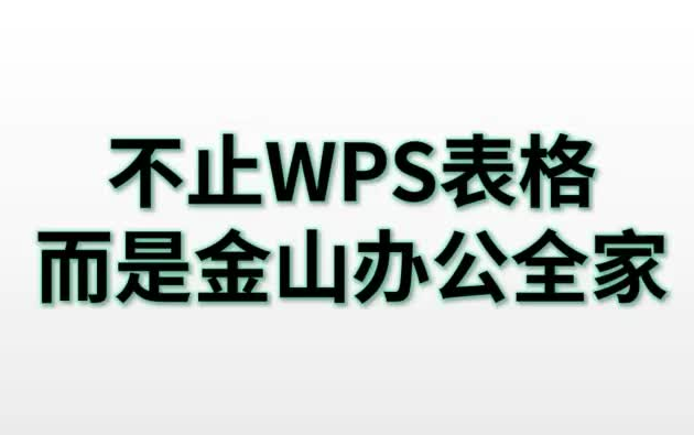 【 21 节 课 带 你 掌 握 WPS 表 格 】哔哩哔哩bilibili