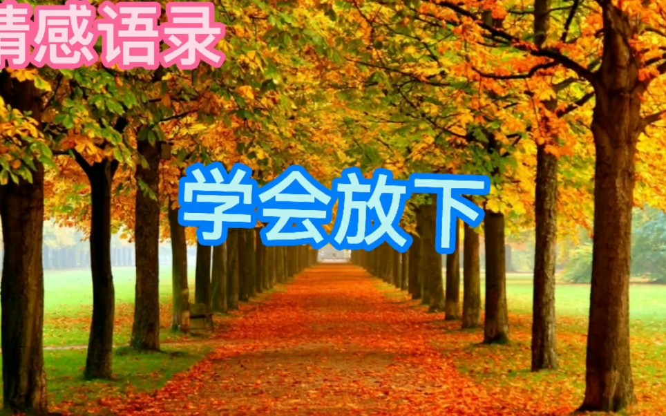 情感语录《学会放下》哔哩哔哩bilibili