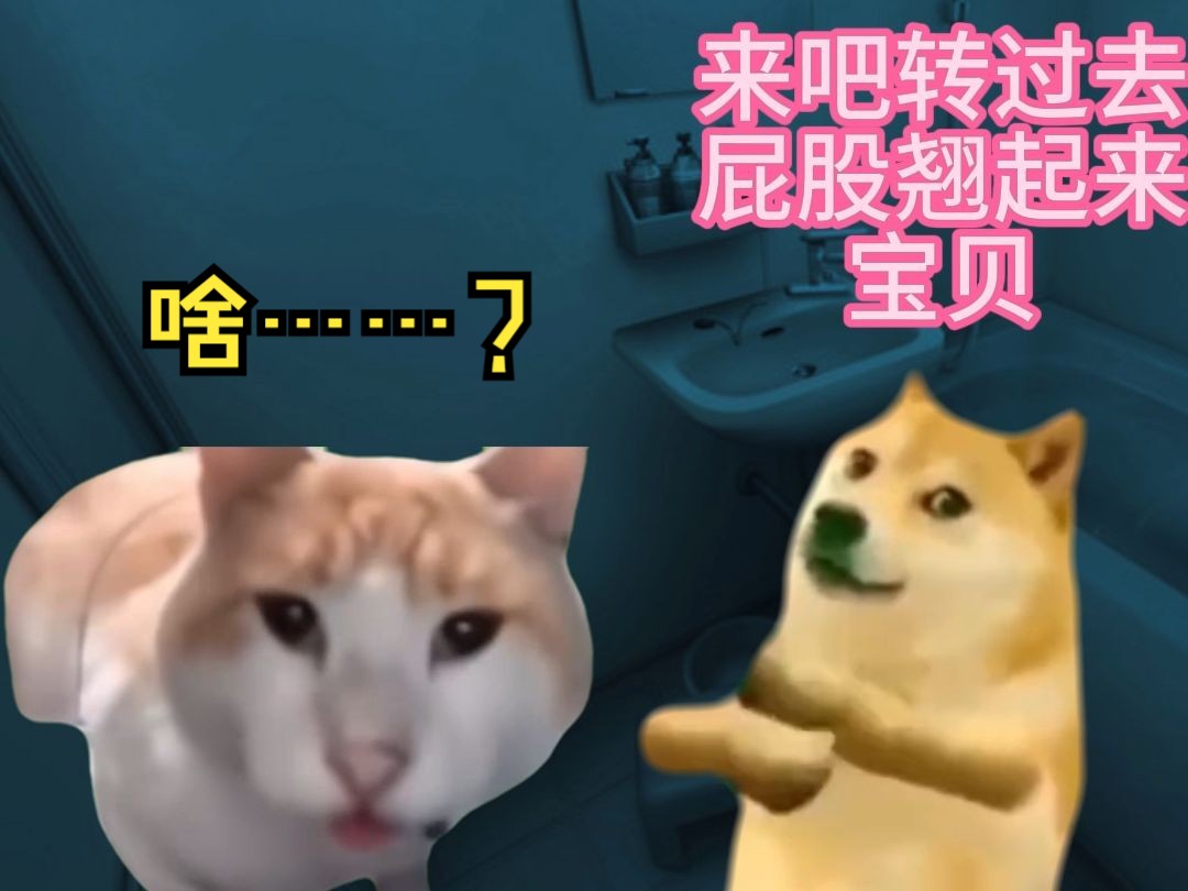 [图]【猫meme】被同性的室友走后门的那件事……