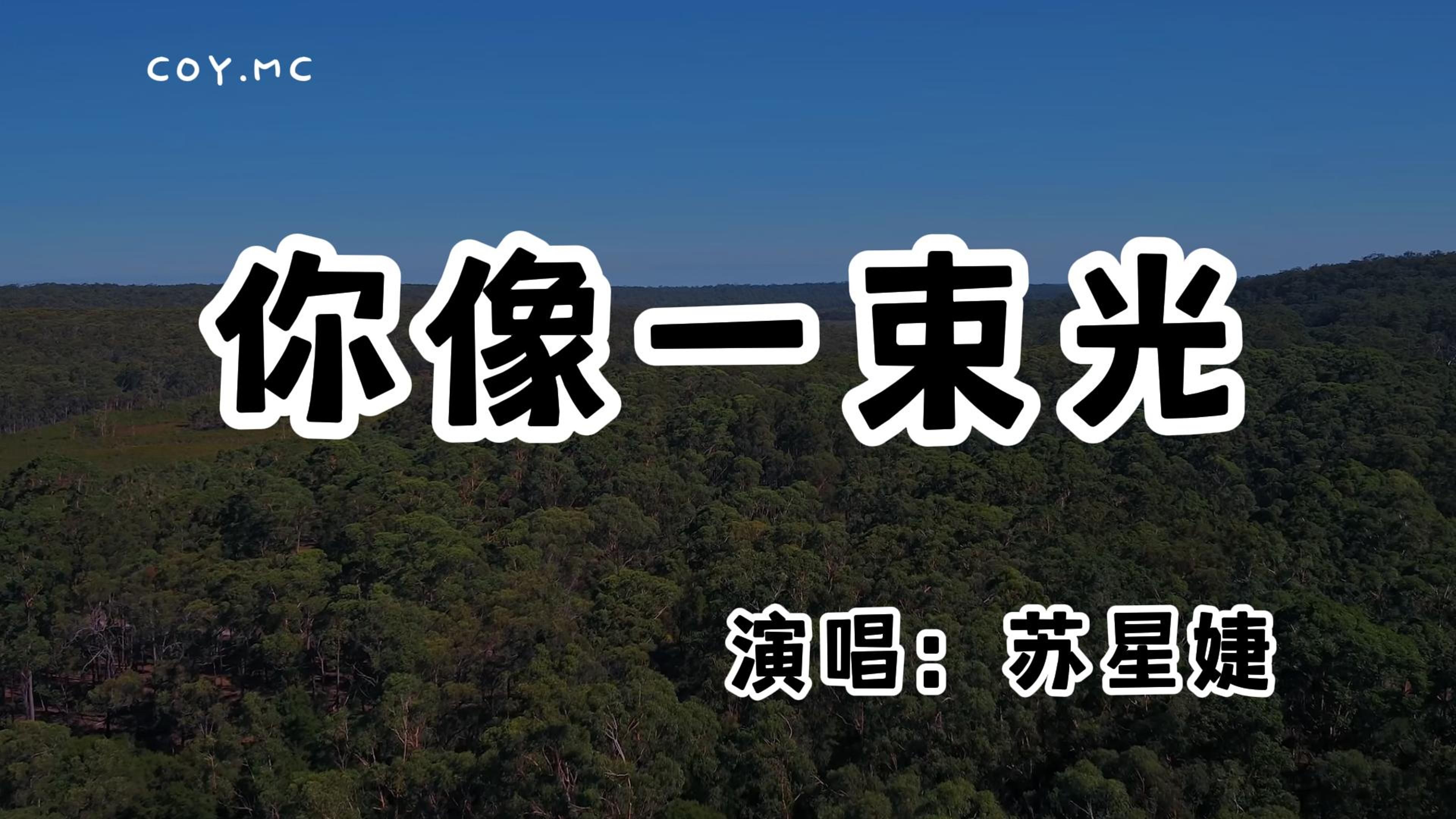 苏星婕  你像一束光『给我一双翅膀 带着我去飞翔』(动态歌词/Lyrics Video/无损音质/4k)哔哩哔哩bilibili