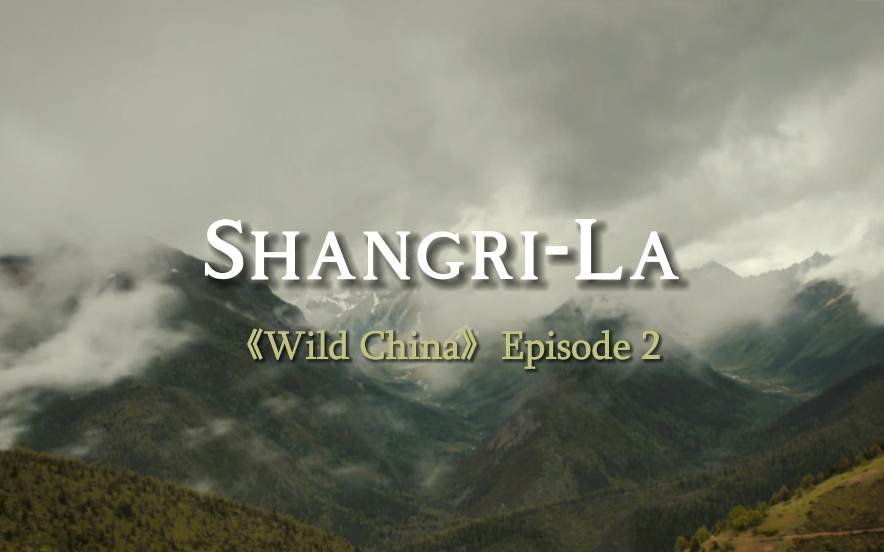 [图]Wild China Ep.2 | Shangri-La | Explore the mountains and jungle of Yunnan