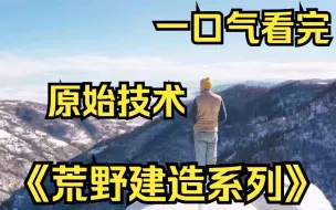 Download Video: 一口气看完【荒野建造系列】原始技术  男人在阿尔卑斯山改造百年石屋，舒服的住一年！