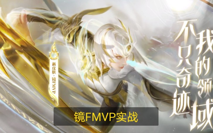 王者荣耀暖阳镜fmvp实战1v1