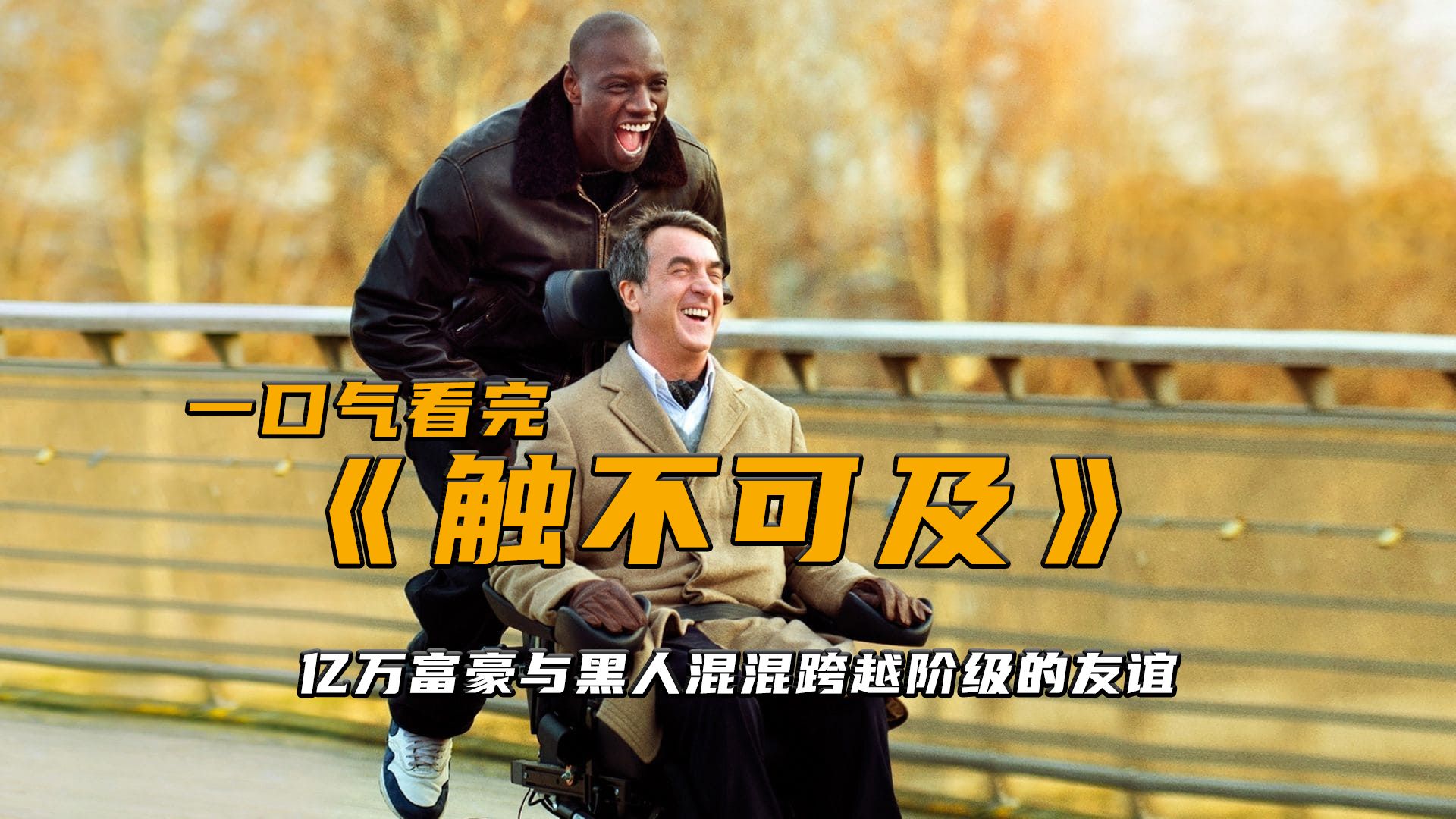 亿万富豪与黑人混混跨越阶级的友谊,非常治愈的一部电影