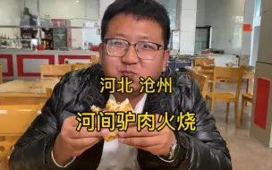 Video herunterladen: 今天三百多公里，去河间吃个正宗驴肉火烧