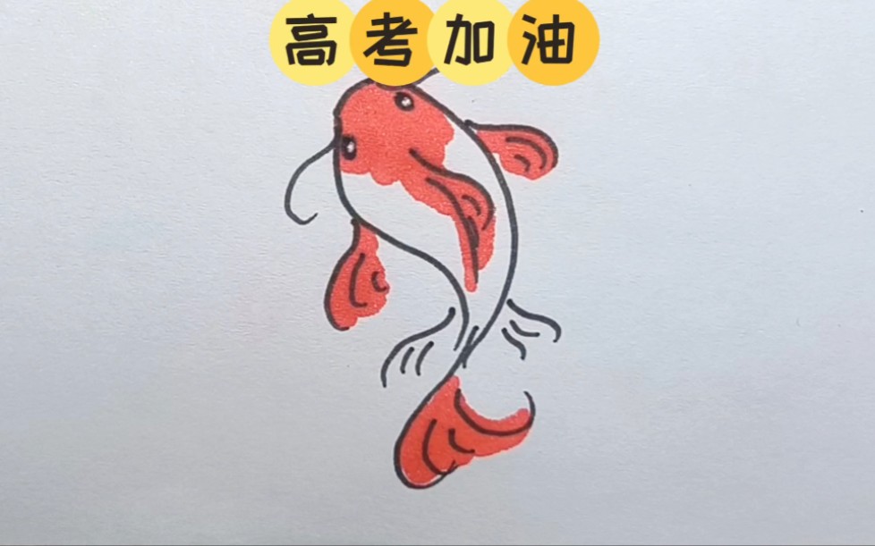 简笔画锦鲤 飞上天图片