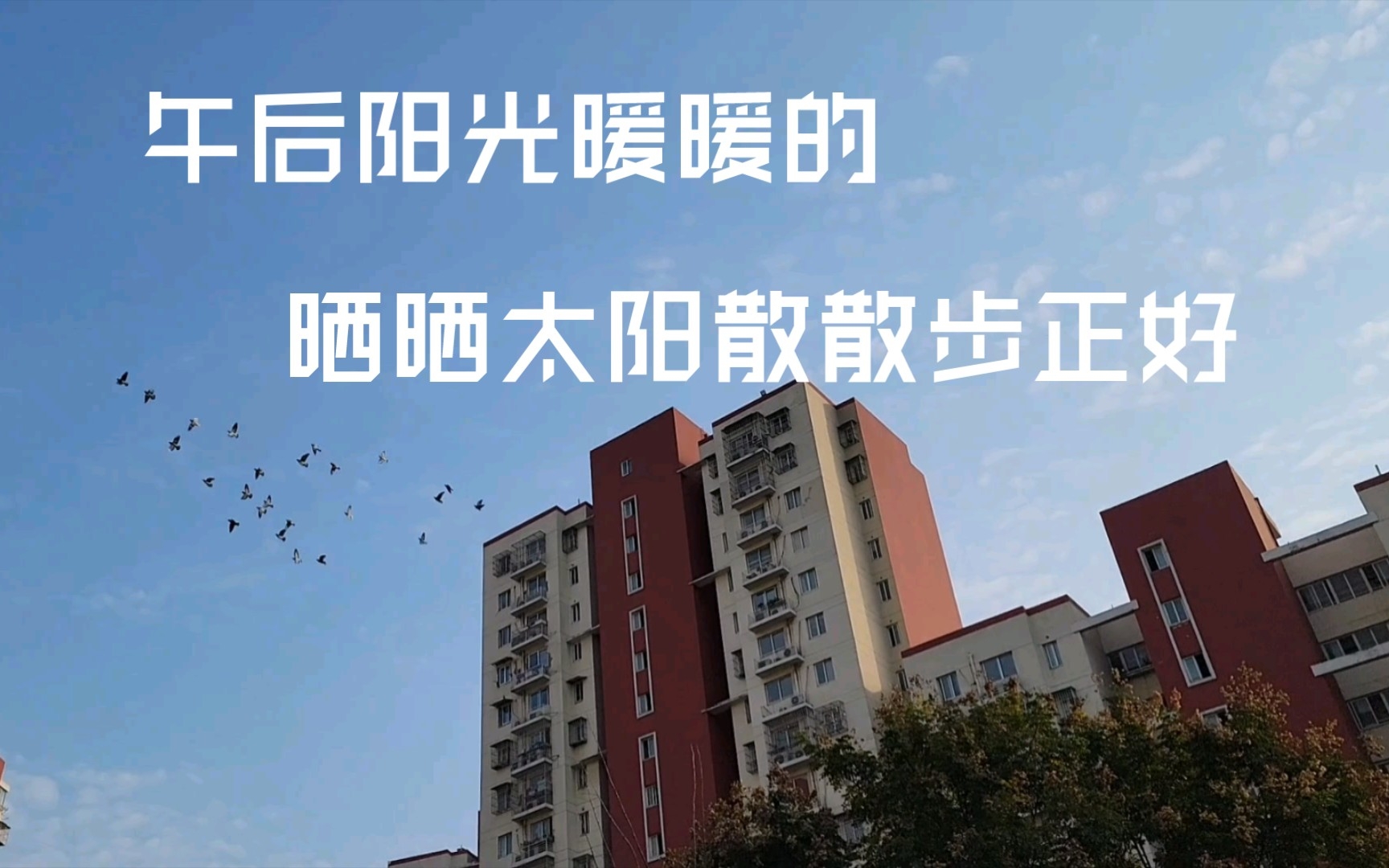 午后阳光暖暖的,景色美美的,心情也是愉悦的