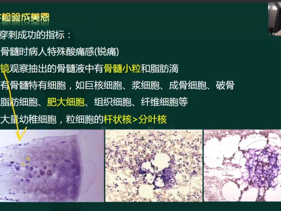 [图]24年检验职称考试-临床血液学检验-(4)