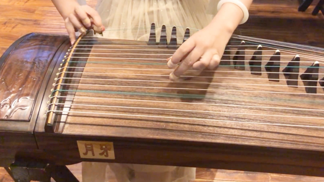 古筝弹奏《多情种》