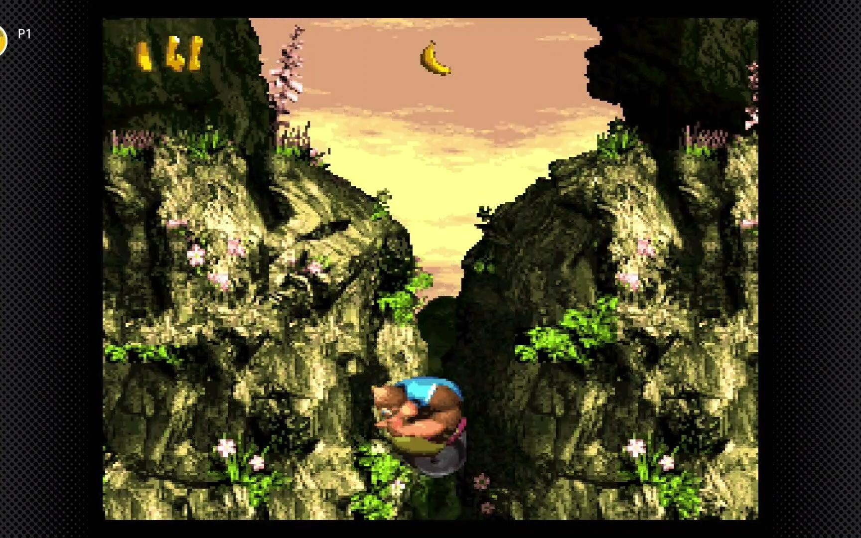 sfc《超级大金刚3》(大金刚国度3)全收集流程[失落世界2]criss kross