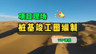 Download Video: 项目桩基竣工图编制