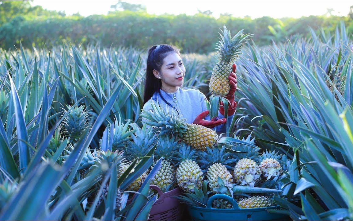 柬埔寨美女手把手教你做凤梨饭和凤梨酥,做法简单又好吃