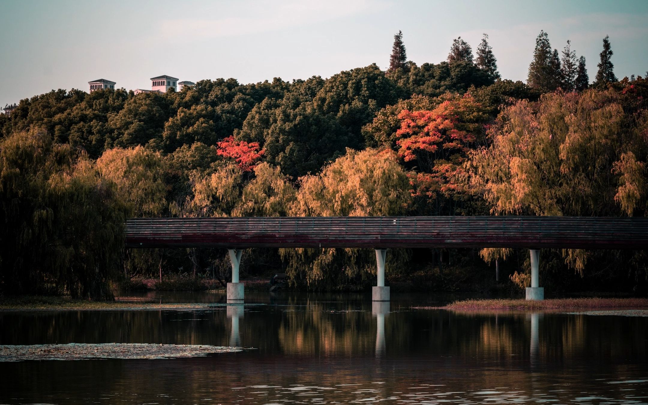 [图]Fall rain