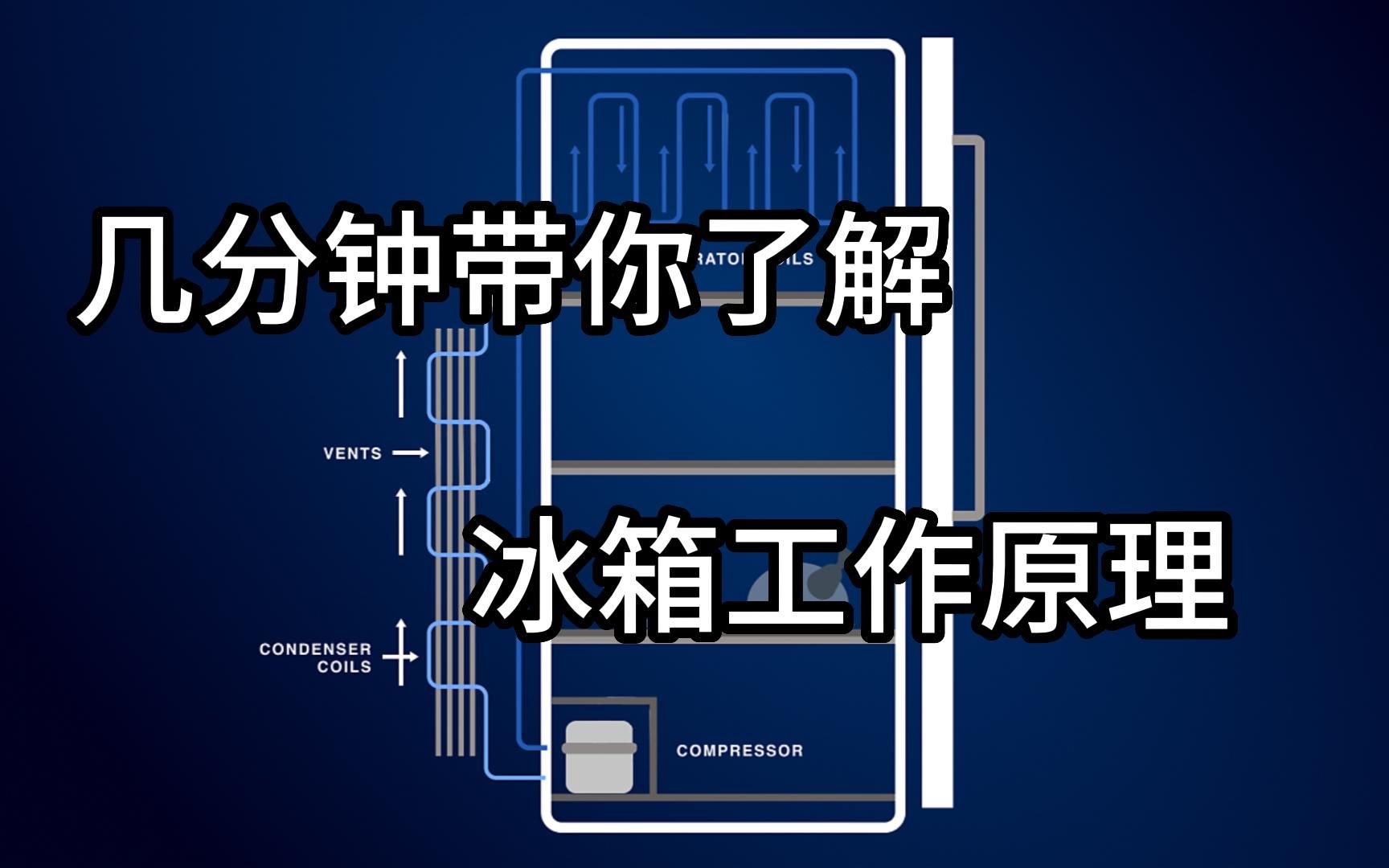 几分钟带你了解冰箱的工作原理哔哩哔哩bilibili