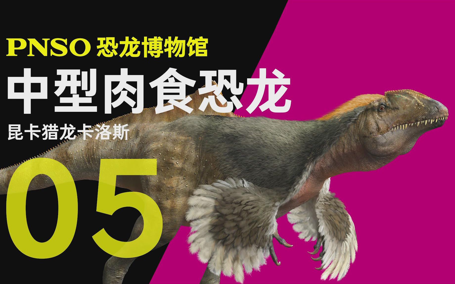 pnso恐龙博物馆:独特而神奇的昆卡猎龙卡洛斯