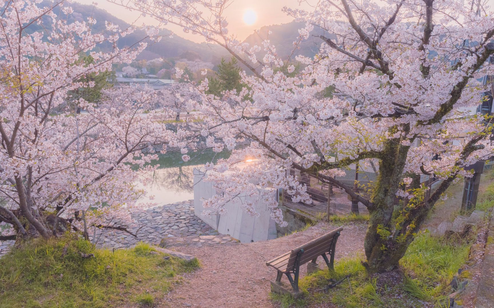 活动作品luvletter