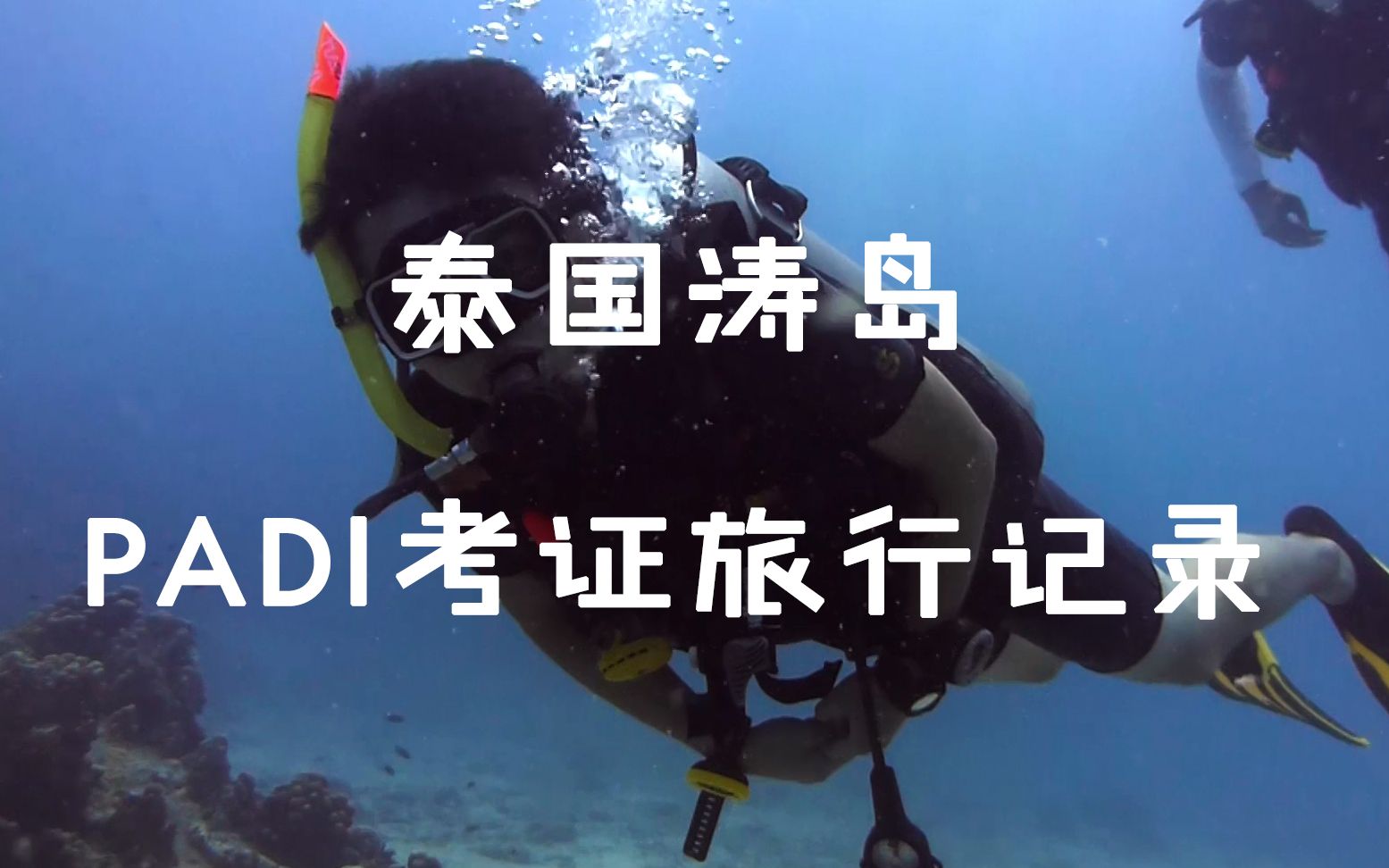 大一暑假泰国涛岛PADI ow潜水证考证记录哔哩哔哩bilibili