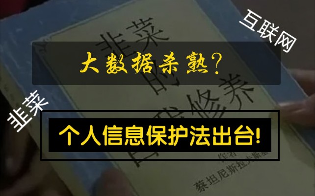 大数据杀熟与个人信息保护法 互联网时代下的数据保护哔哩哔哩bilibili