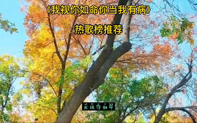 [图]推荐两首个人喜欢的歌《我视你如命你当我有病》《算了》