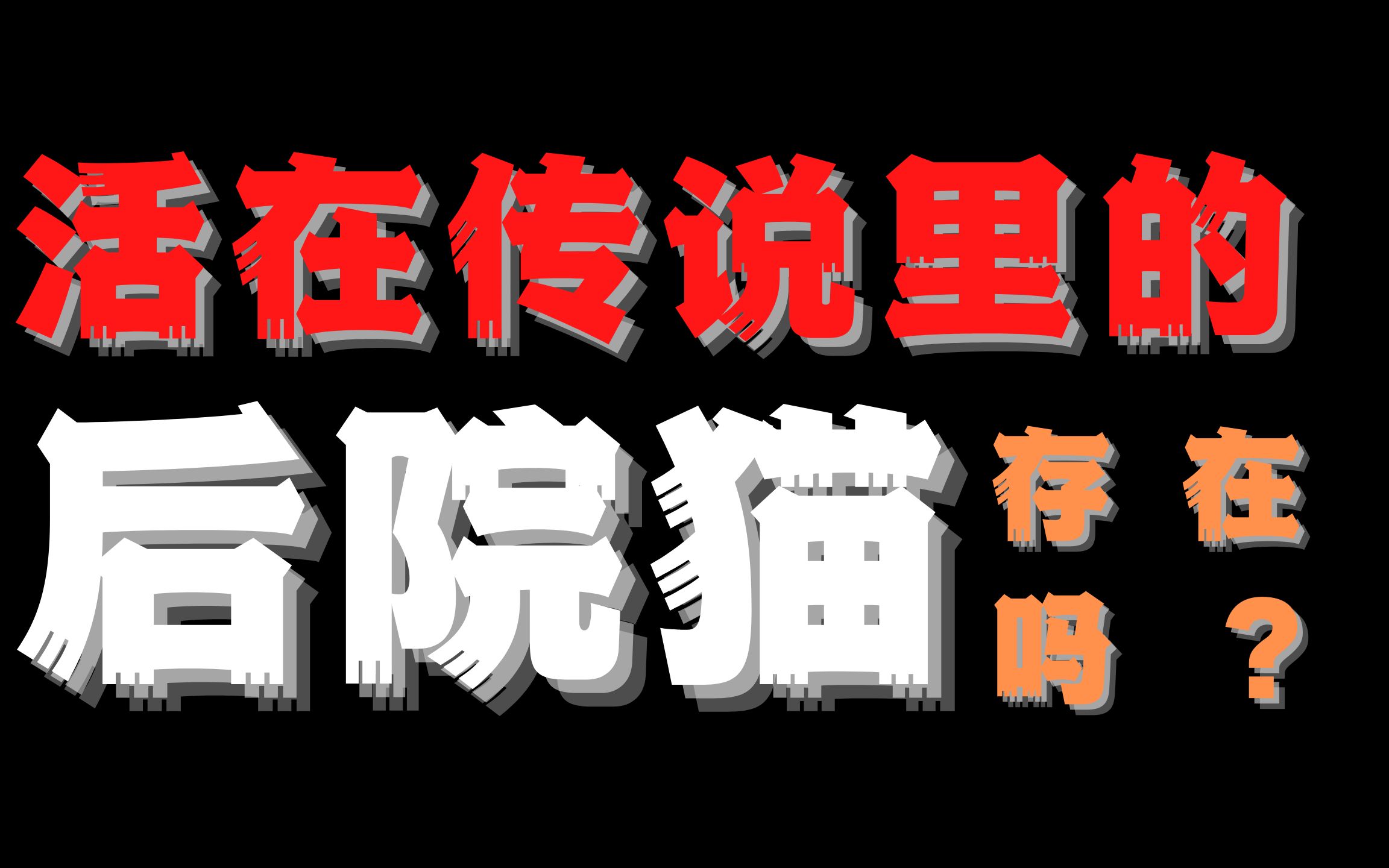 猫圈内幕揭秘,第14期,东北全员后院猫?哔哩哔哩bilibili