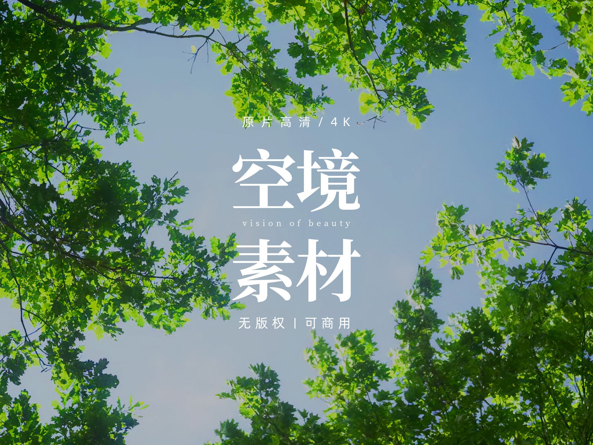 【免版权空镜】夏日阳光绿叶自然风景哔哩哔哩bilibili