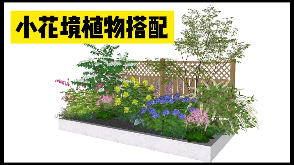 8平米花境植物搭配设计/阴生花园(附植物品种)哔哩哔哩bilibili