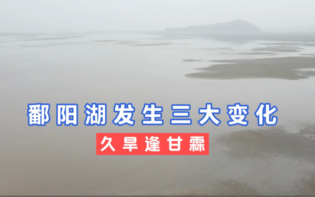 [图]干旱70多天后，鄱阳湖连下四天雨，现在变化有多大？