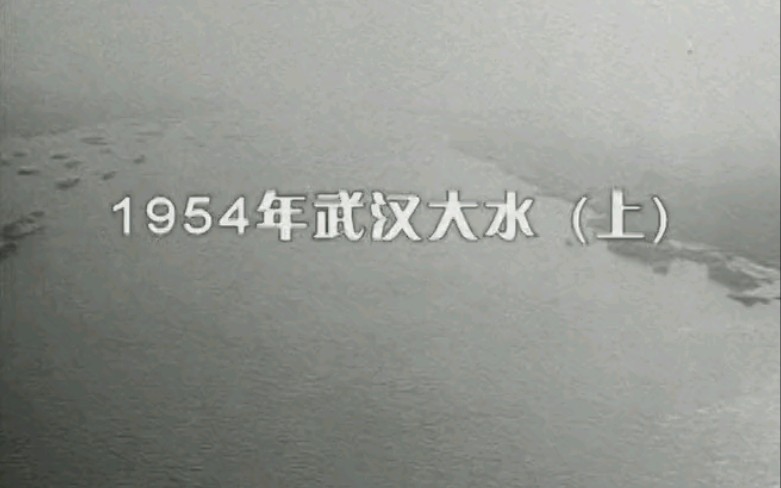 老武汉映像(1954年武汉最大洪水历史影像)哔哩哔哩bilibili