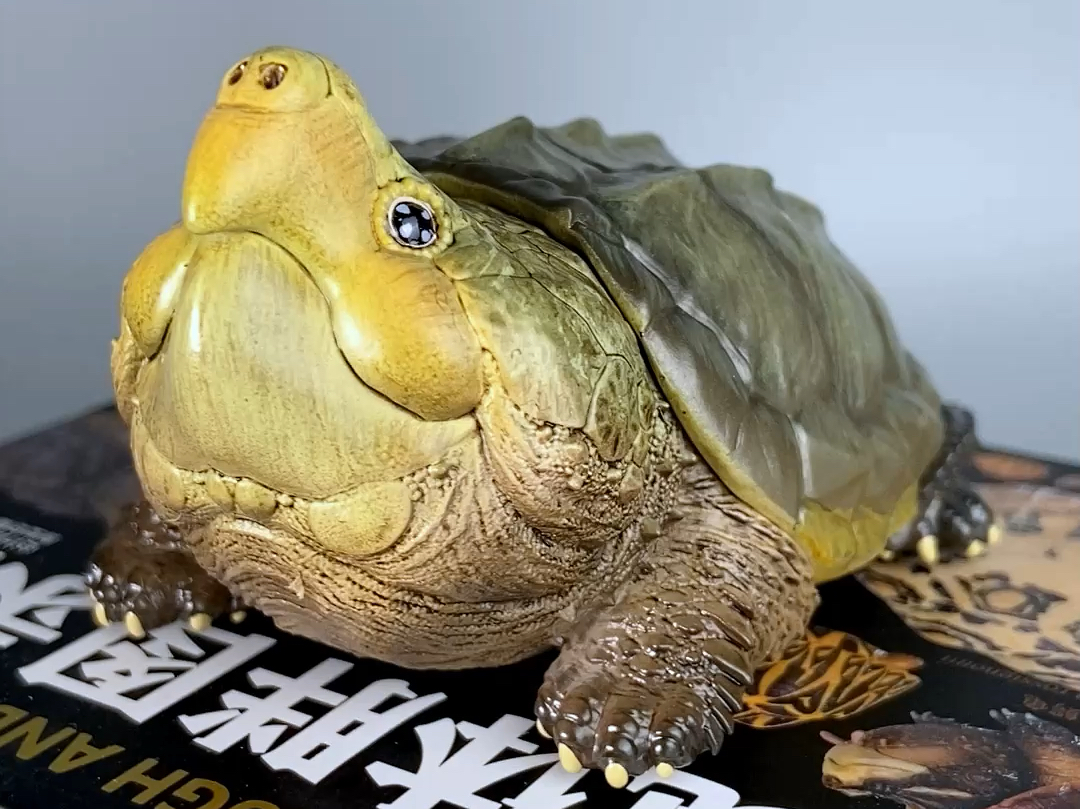 【呆头鹅模玩】动物星云动物星球心宽体胖龟模型