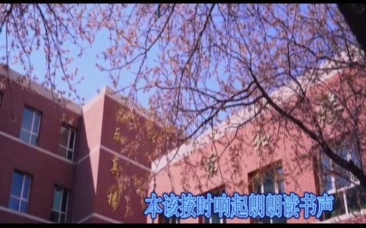 包钢实验一小校园春景哔哩哔哩bilibili