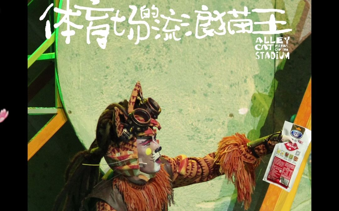 体育场的流浪猫王