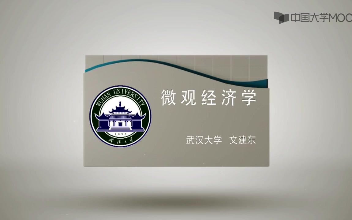 微观经济学 武汉大学:文建东哔哩哔哩bilibili