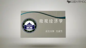 微观经济学  武汉大学：文建东