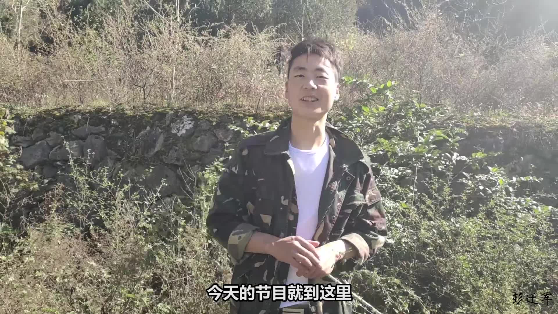 [图]养殖蜜蜂如何去合并蜂群，听听养蜂人怎么说的