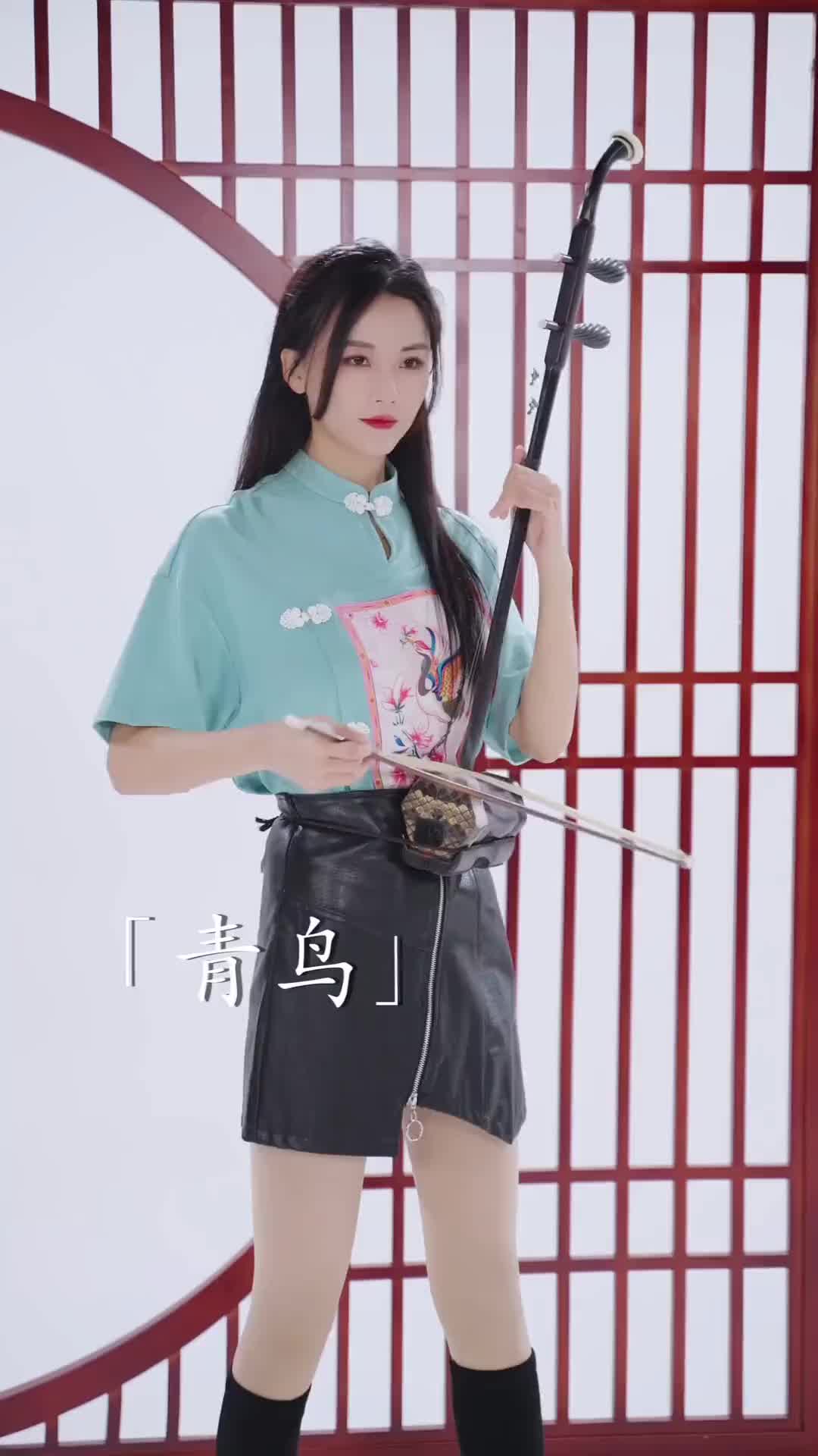 有没有跟风一波的从我开始二胡版民乐版青鸟抖音小助手