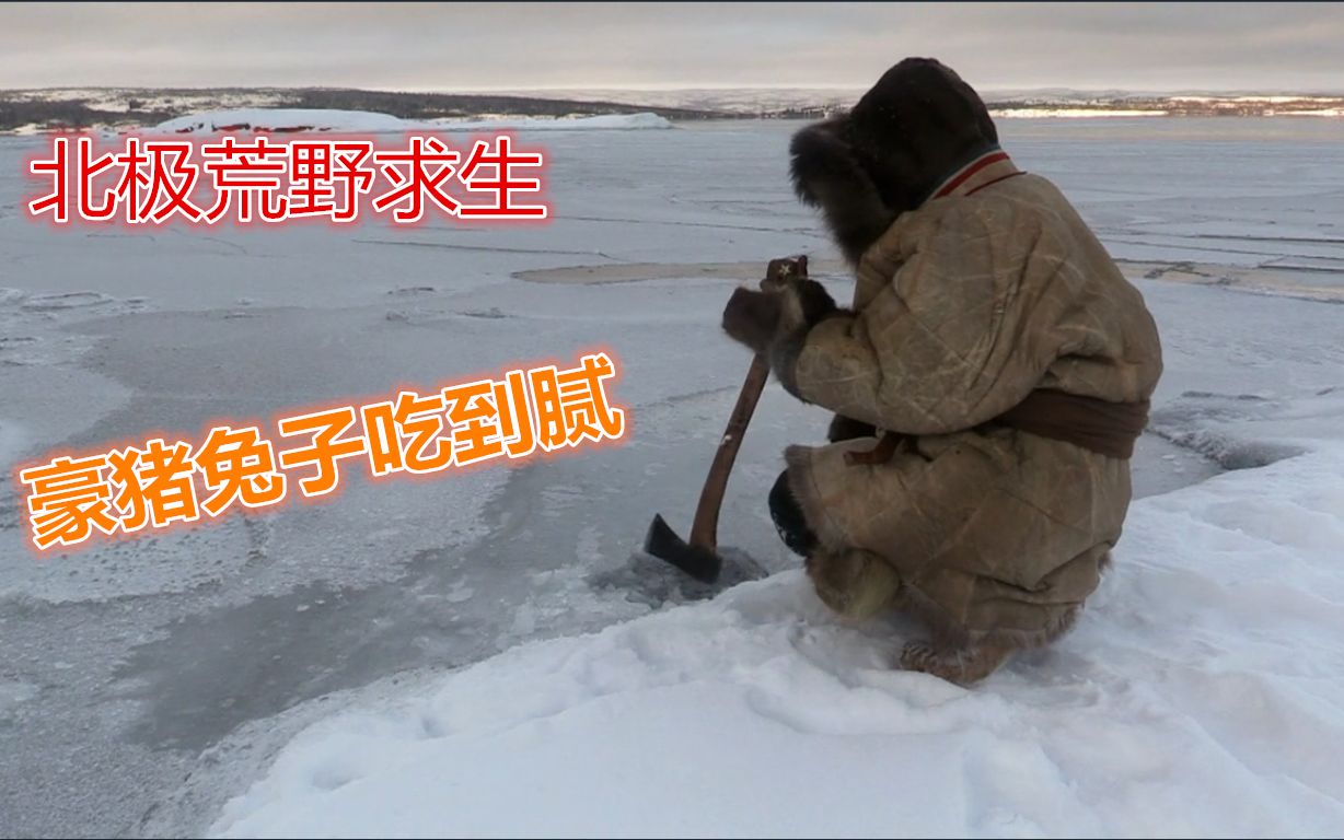 女孩独自在北极挑战荒野求生生存能力强悍豪猪和兔子吃到爽