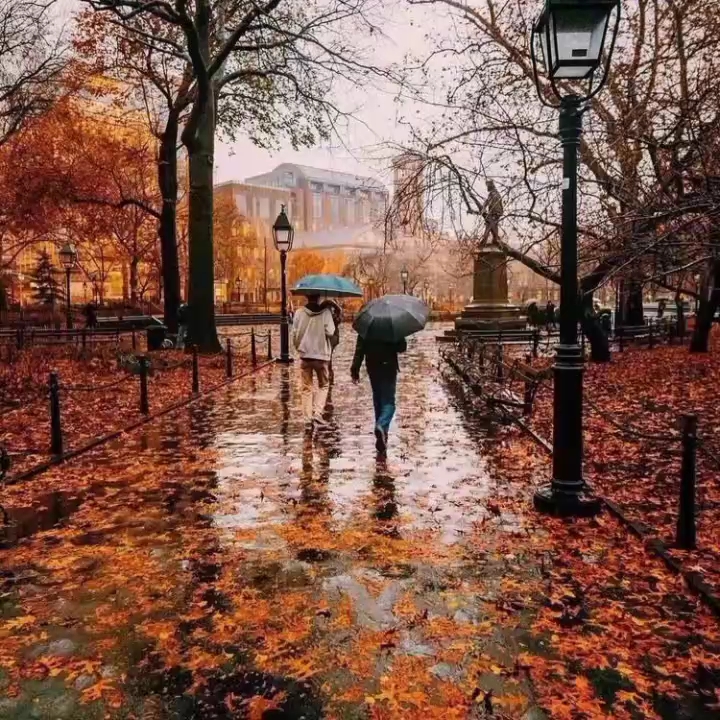 [图]春風桃李花開日，秋雨梧桐葉落時。