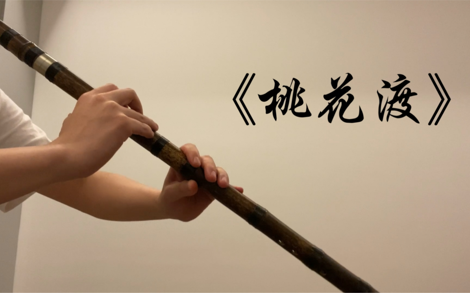 初心之一《桃花渡》