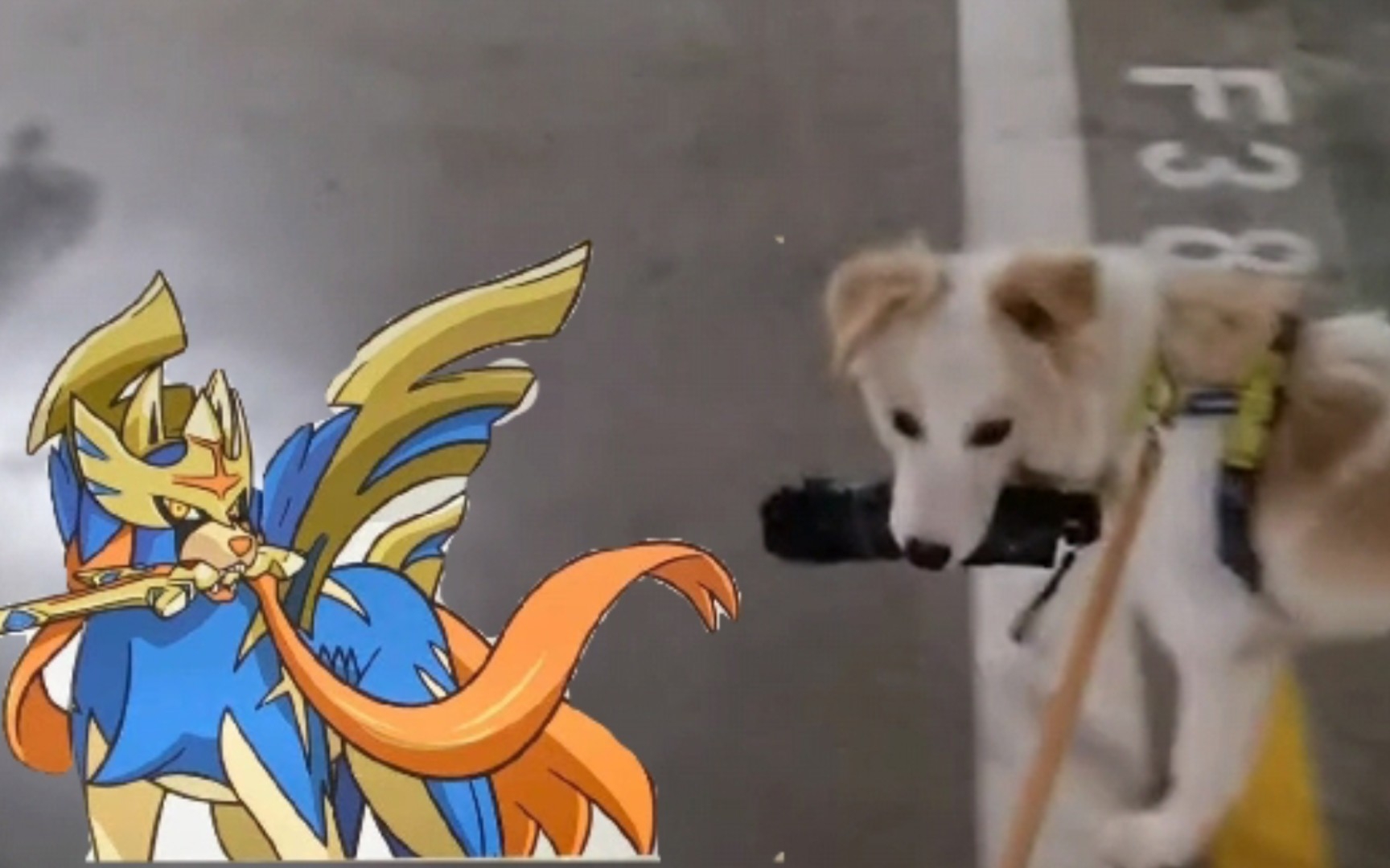 原来你就是传说中的剑狗