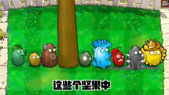 植物大战僵尸：哪一种坚果最坚硬呢？