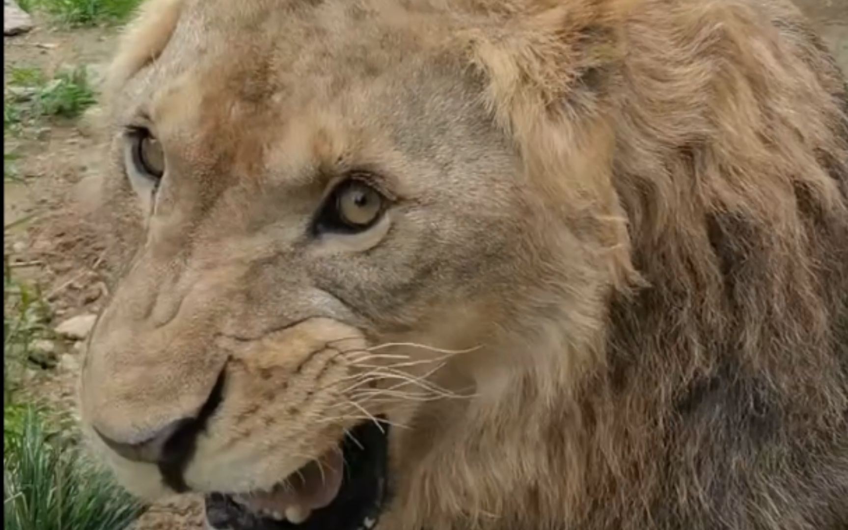 这眼神 无意中都透着一股杀气!_哔哩哔哩_bilibili