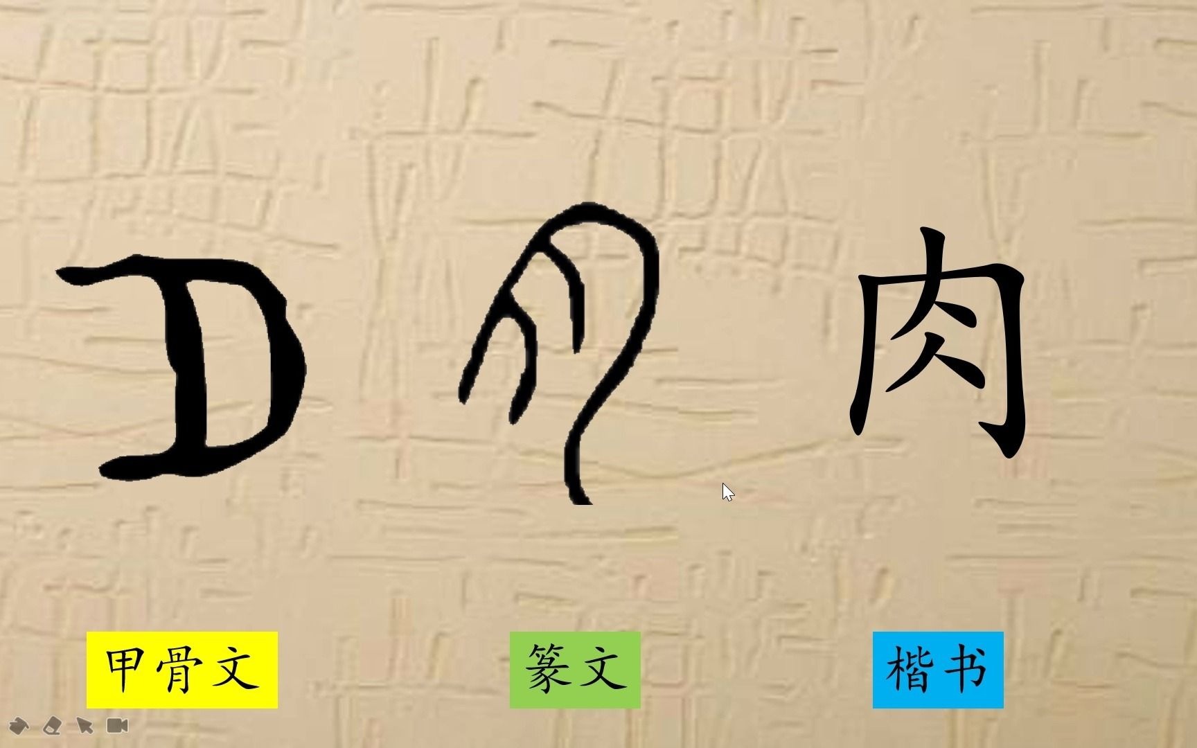 [图]11、月字旁肉字旁肉月旁（二）,趣味识字，汉字演变，笔画描色,字理识字